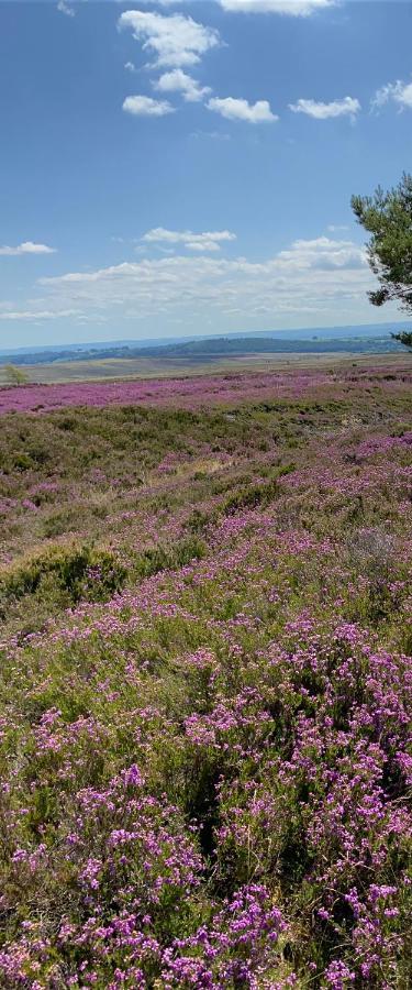 Floyter House North Yorkshire Moors National Park Bed & Breakfast Danby Exterior foto