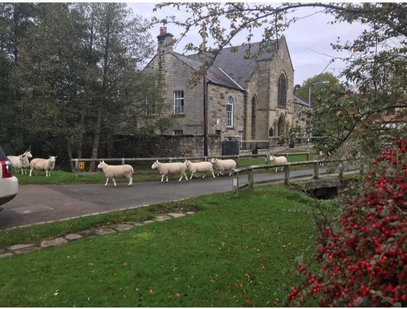 Floyter House North Yorkshire Moors National Park Bed & Breakfast Danby Exterior foto